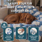 Evoir Couture™ Calming Blanket
