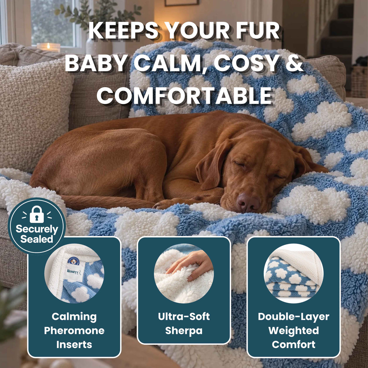Evoir Couture™ Calming Blanket